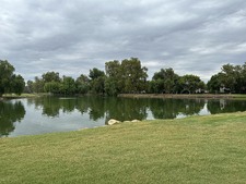 Enlarge photo 31