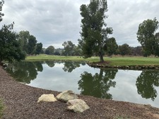 Enlarge photo 33