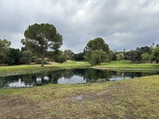 Enlarge photo 35
