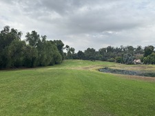 Enlarge photo 44
