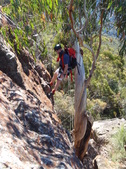 Enlarge photo 16