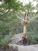 Enlarge photo 18