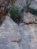Enlarge photo 16