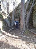 Enlarge photo 13