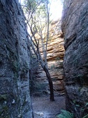Enlarge photo 25