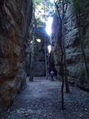 Enlarge photo 36