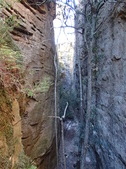 Enlarge photo 40