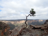 Enlarge photo 19