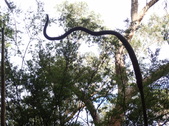 Enlarge photo 37