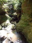 Enlarge photo 19
