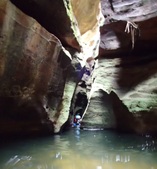 Enlarge photo 16