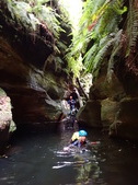 Enlarge photo 16