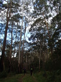 Enlarge photo 22