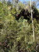 Enlarge photo 1