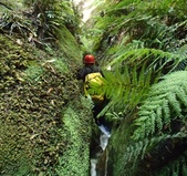 Enlarge photo 12