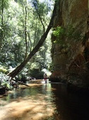 Enlarge photo 24