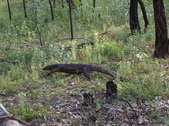 Enlarge photo 1