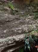 Enlarge photo 40