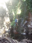 Enlarge photo 23