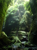 Enlarge photo 19