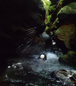Enlarge photo 2