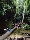 Enlarge photo 22