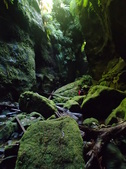 Enlarge photo 17
