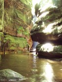 Enlarge photo 20
