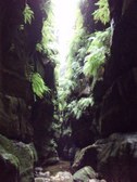 Enlarge photo 24