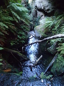 Enlarge photo 15