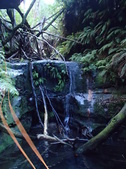 Enlarge photo 19