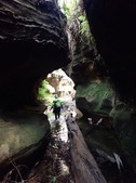 Enlarge photo 12