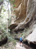 Enlarge photo 22