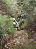 Enlarge photo 1