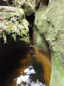 Enlarge photo 15