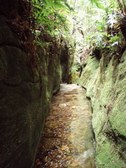Enlarge photo 19
