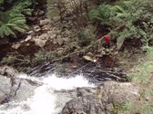 Enlarge photo 24