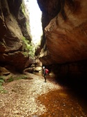 Enlarge photo 21