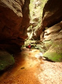 Enlarge photo 33