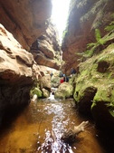Enlarge photo 35