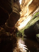 Enlarge photo 38
