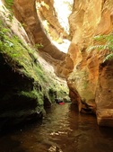 Enlarge photo 40