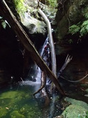 Enlarge photo 15