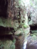 Enlarge photo 1