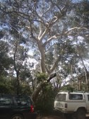 Enlarge photo 19