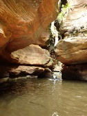 Enlarge photo 31