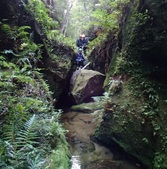 Enlarge photo 17