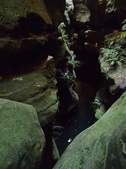 Enlarge photo 14