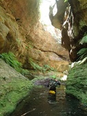 Enlarge photo 24