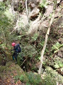 Enlarge photo 24